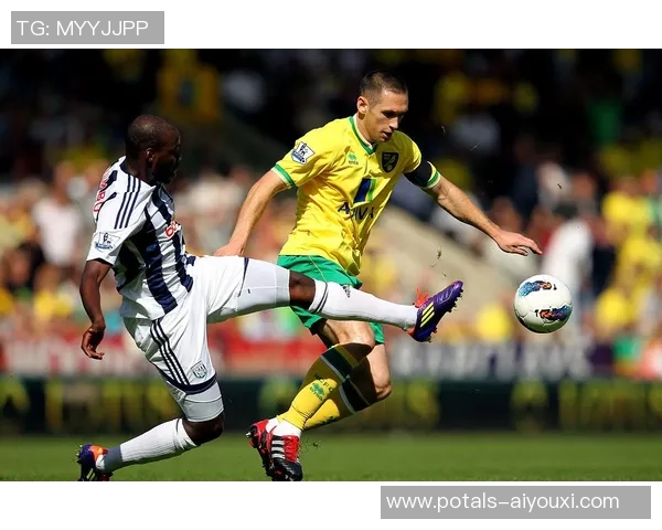 布伦特福德对诺维奇城精彩直播全程回顾与赛后分析